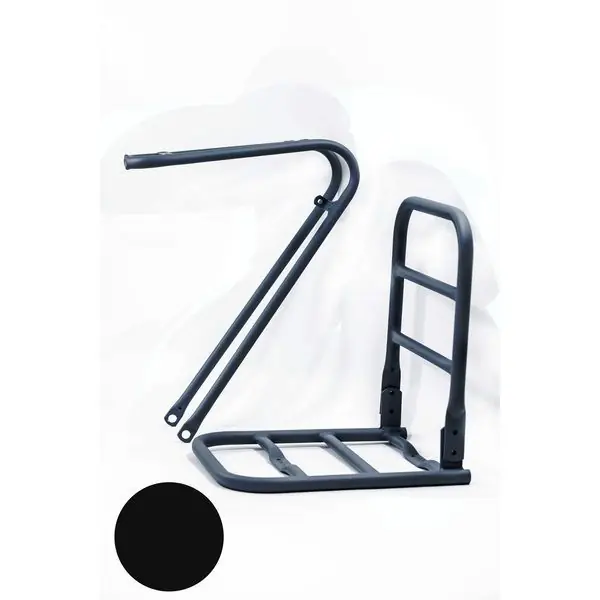Gazelle voordrager Miss Grace / Heavy Duty bagagedrager mat zwart Shop Nu