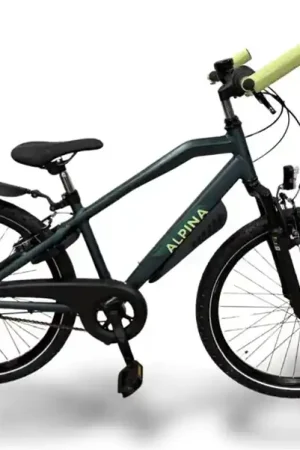 Alpina Trial 24 Inch Pine Green Matte Koop Vandaag
